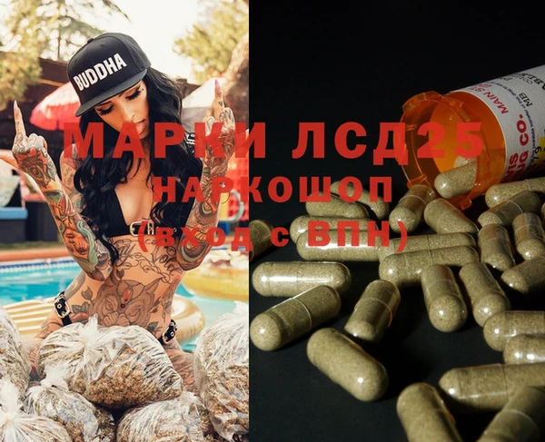 шишки Алзамай