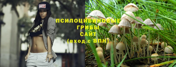 ГАЛЛЮЦИНОГЕННЫЕ ГРИБЫ Абдулино